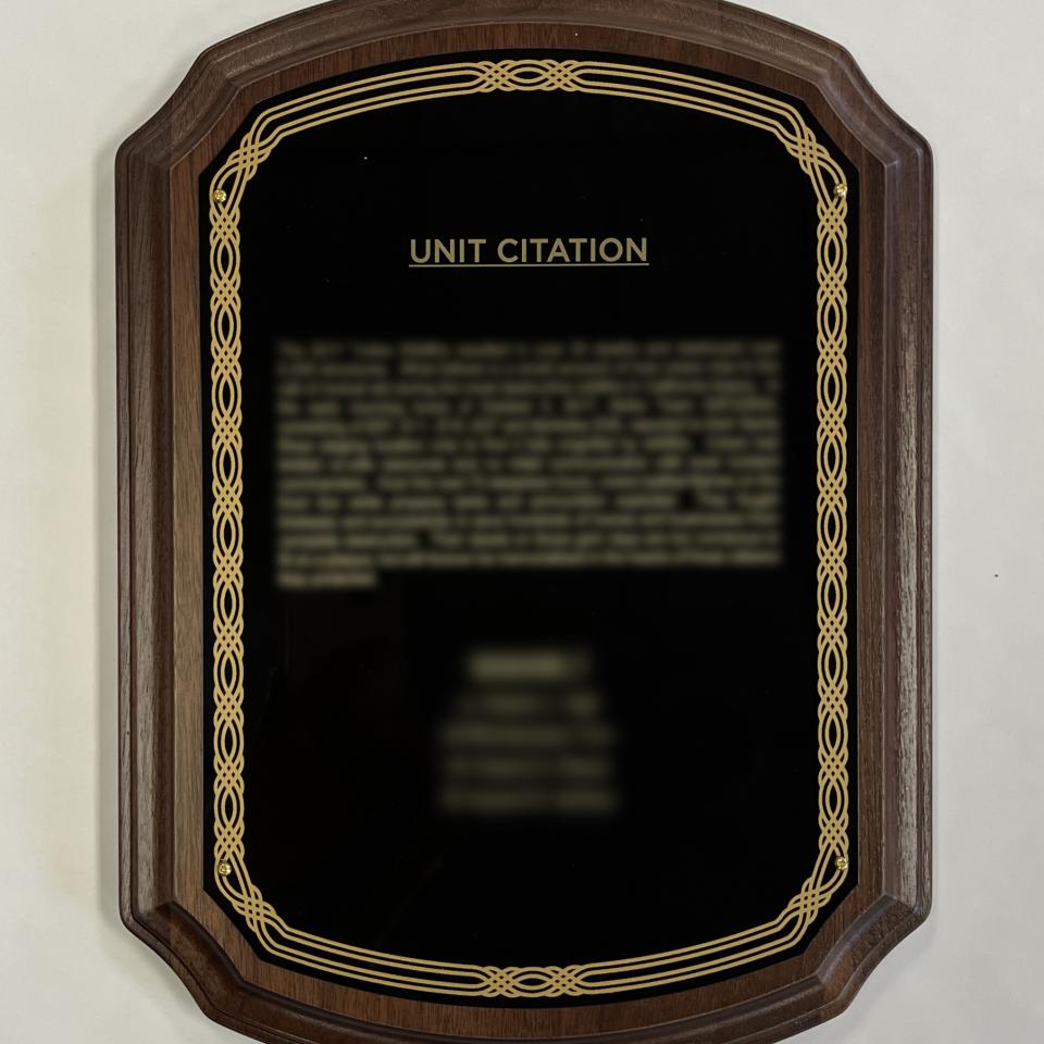 A Class D Unit Citation is awarded to a company for performing beyond normal expectations in an emergency situation.